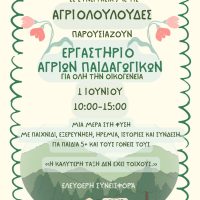 Ολοήμερο Εργαστήριο Άγριων Παιδαγωγικών για Όλη την Οικογένεια